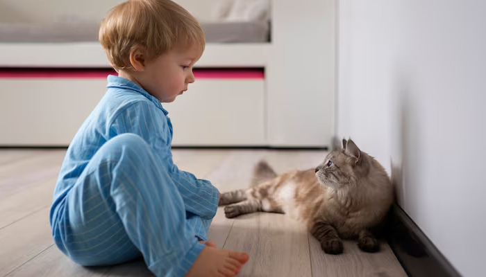 Is Loss of Appetite Normal During FIP Treatment