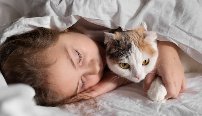 Can FIP Treatment and Observation Be Done at the Same Time