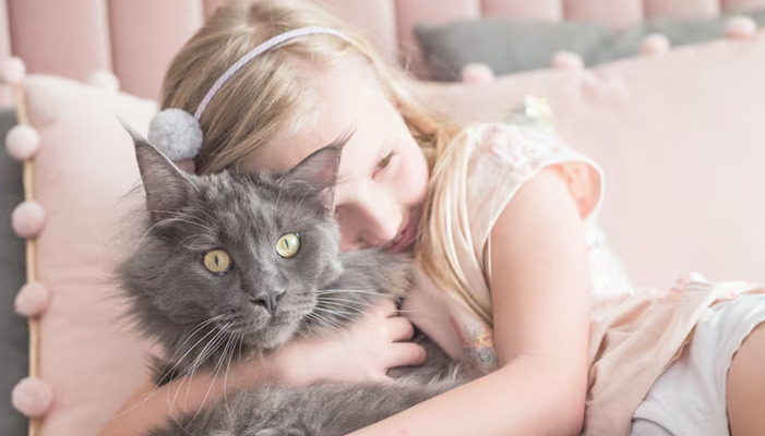 Feline Infectious Peritonitis (FIP) Vaccination Recommendations