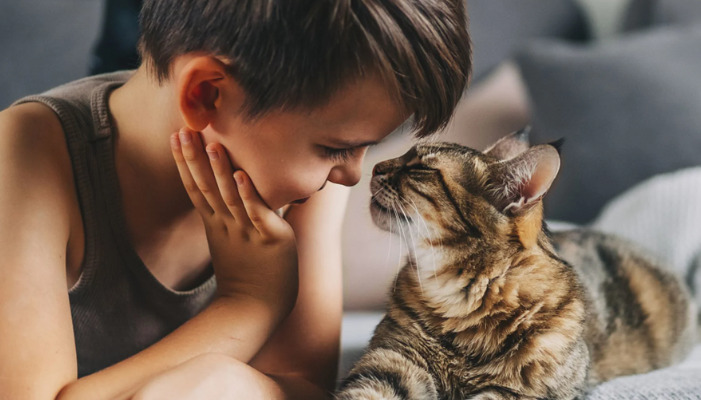 Oral vs Injectable Medication for FIP — What Owners Should Know