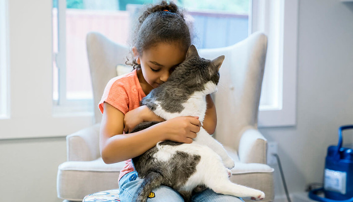 What Are the First Signs of FIP in Cats