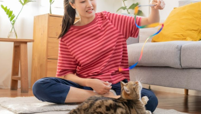 Is FIP Diagnosed Immediately or Over Time