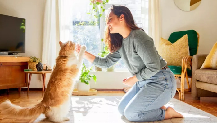 Does a cat with FIP need to be isolated