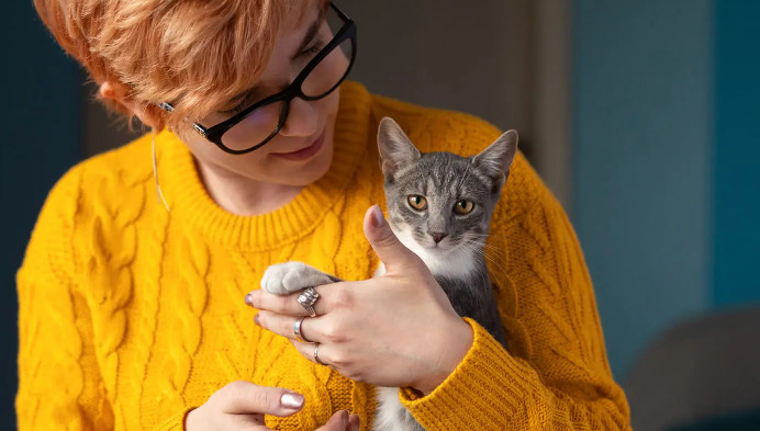 Is FIP Treatment Safe for Cats