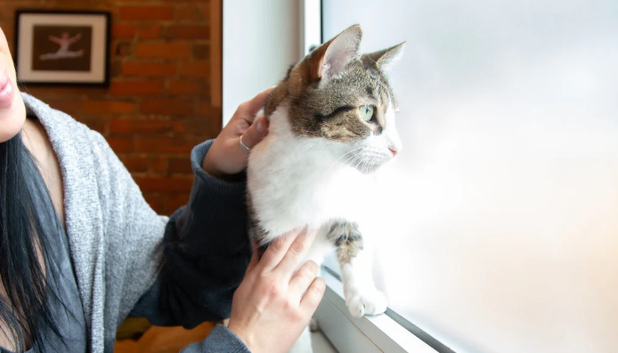 Does Delayed Treatment Make FIP Symptoms Worse