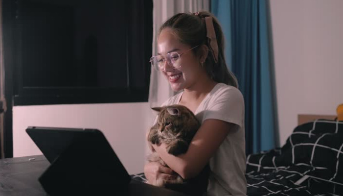 wet FIP treatment for cats
