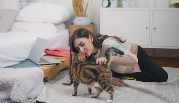 Why Are Early FIP Test Results Often Not Obvious