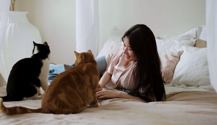NeoFipronis Complete Guide For FIP Treatment