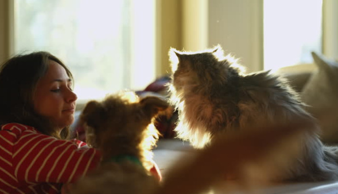 Is Constant Curling up a Sign of Discomfort in FIP