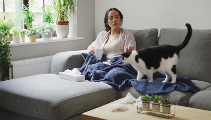 Everything Cat Owners Should Know About FIP