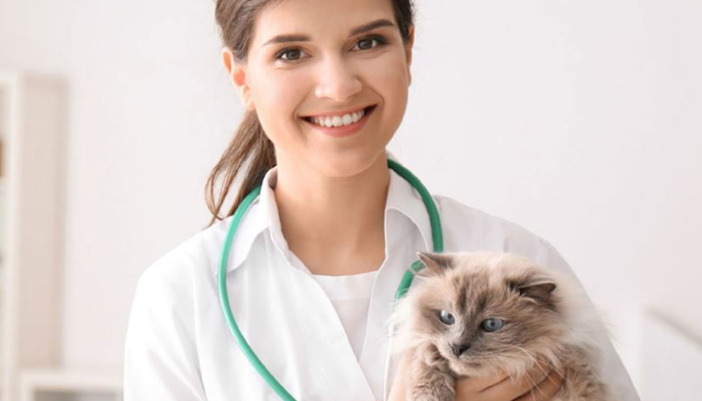 How Do FIP Symptoms Progress Over Time