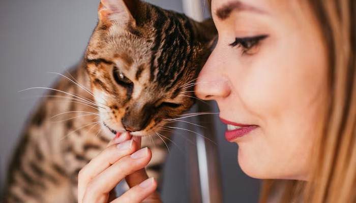 What are the early symptoms of FIP