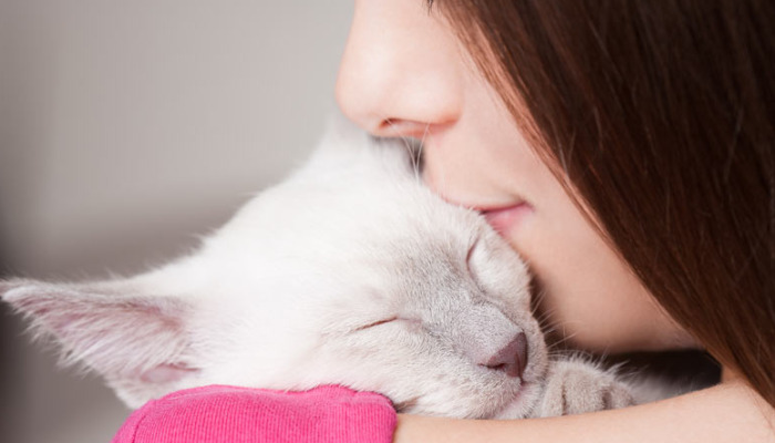 Is There Still Hope for Cats Diagnosed With FIP